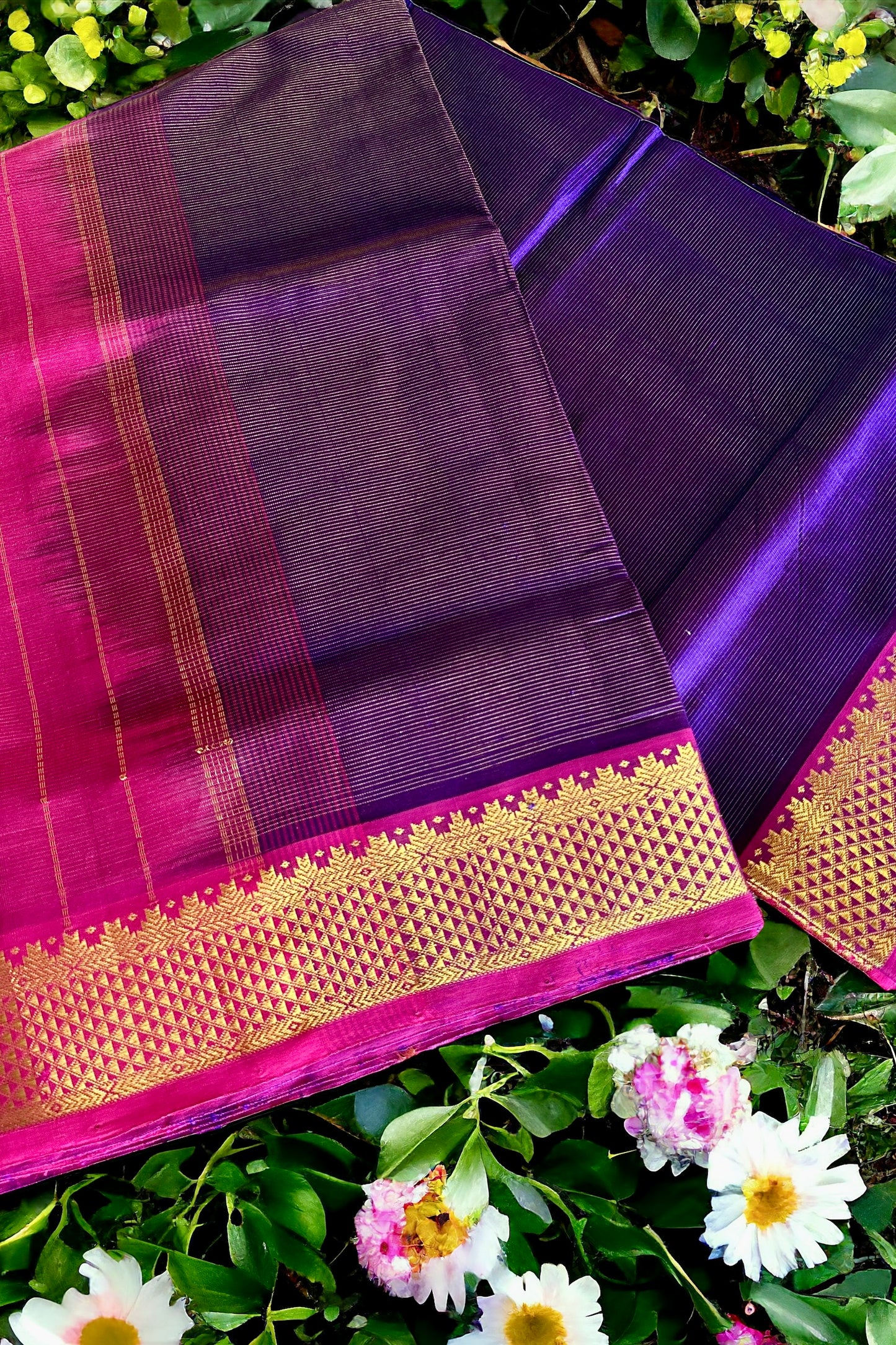 Silk Cotton Saree - AW1403SC