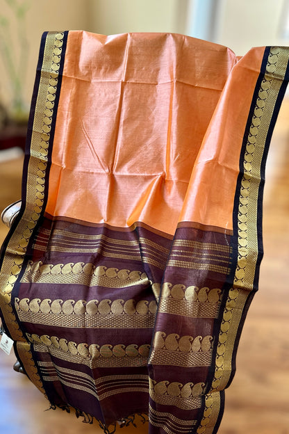 Silk Cotton Saree - AW1413SC