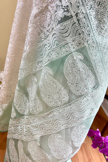 Organza Silk Saree - AW1007OGN