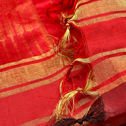 Pochampally Ikkat Silk Saree - AW1027PT