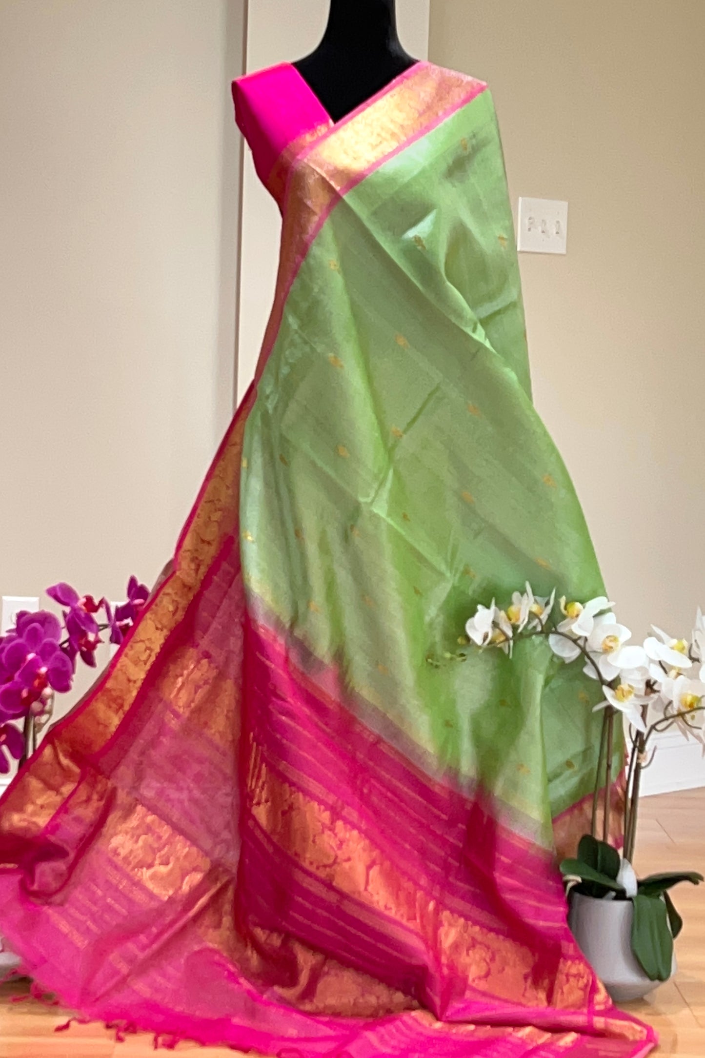 Silk Cotton Saree - AW1324SC