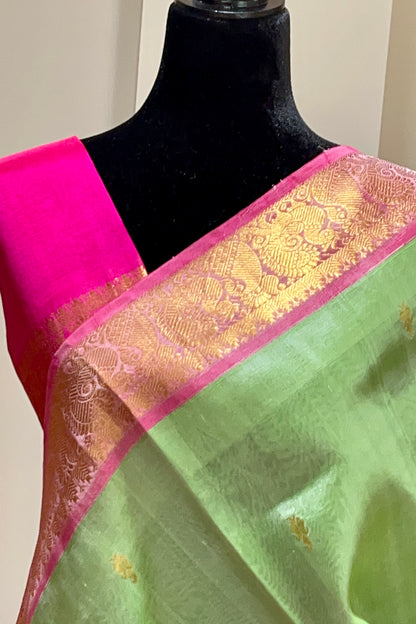 Silk Cotton Saree - AW1324SC